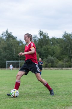 Bild 118 - Frauen SG NieBar - HSV 2 : Ergebnis: 4:3